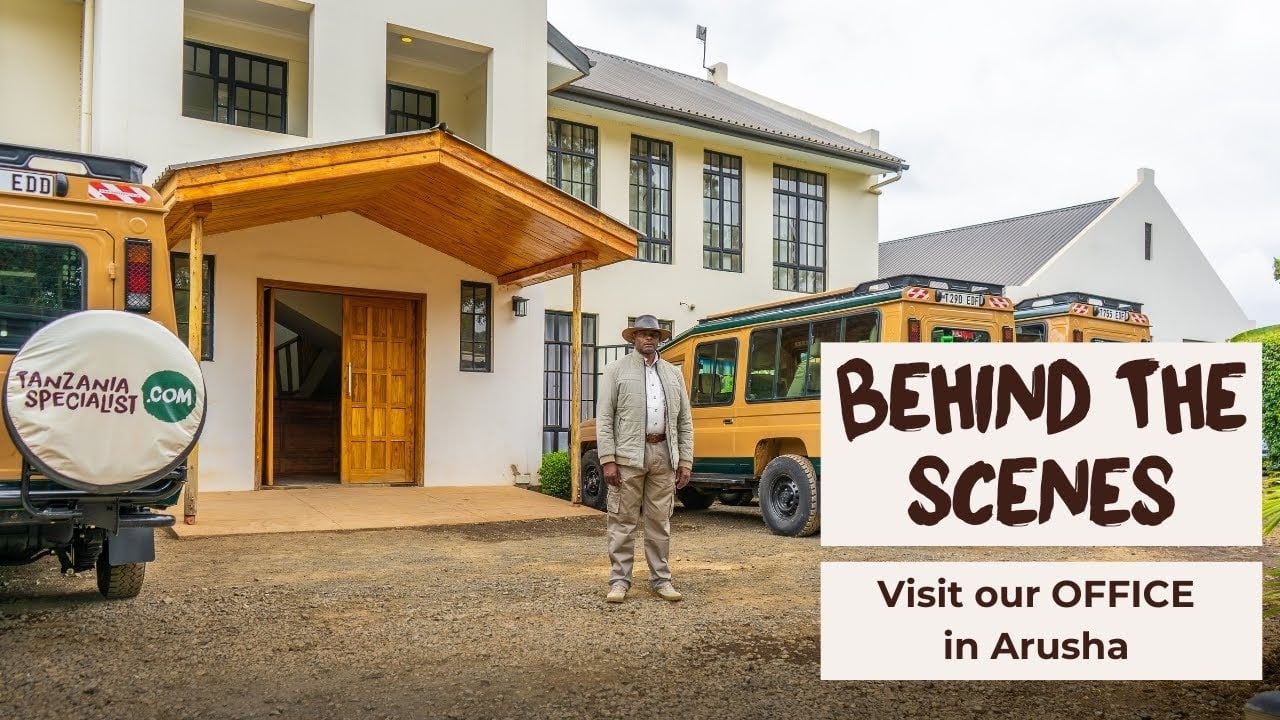 Behind the scenes in our Tanzania Specialist office in Tanzania