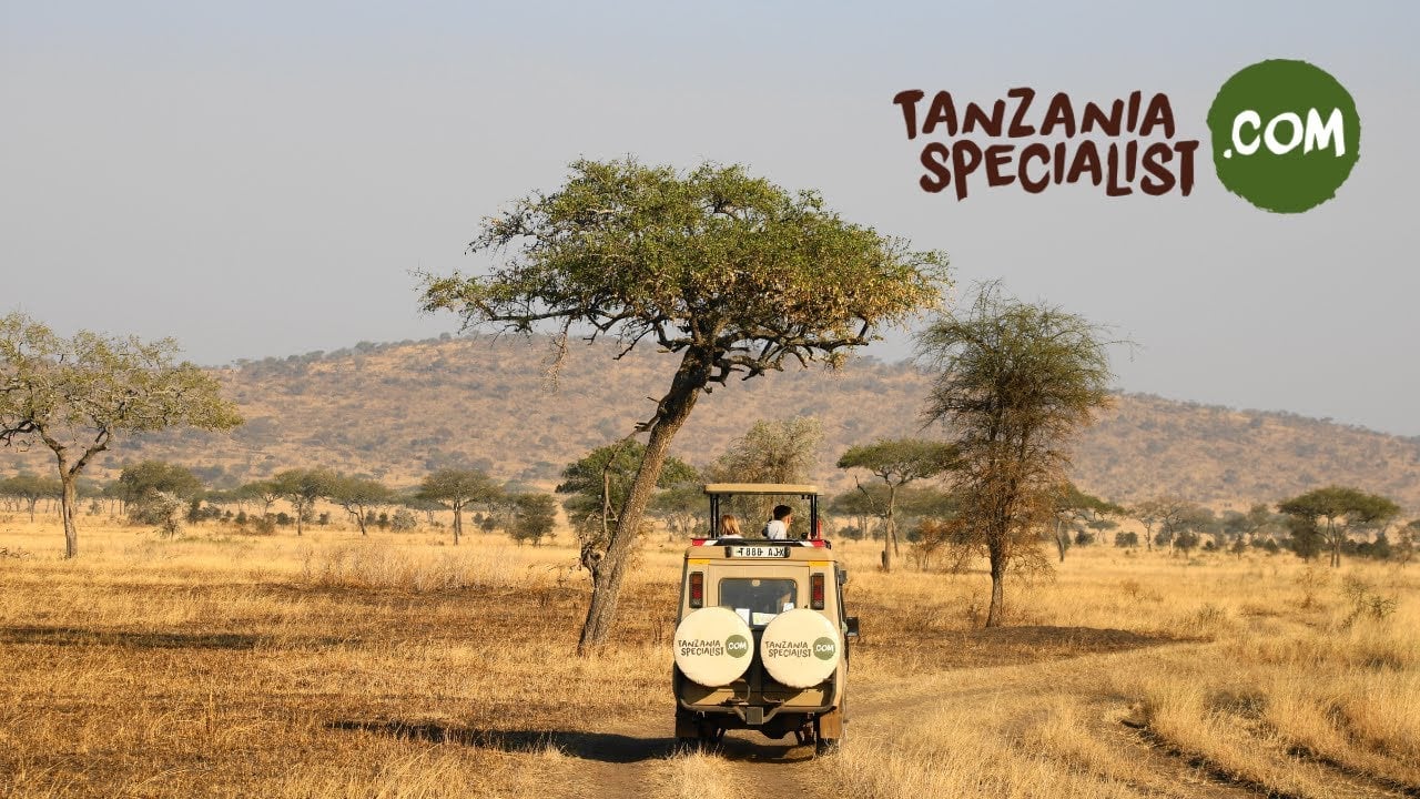people love safari in Tanzania (English)