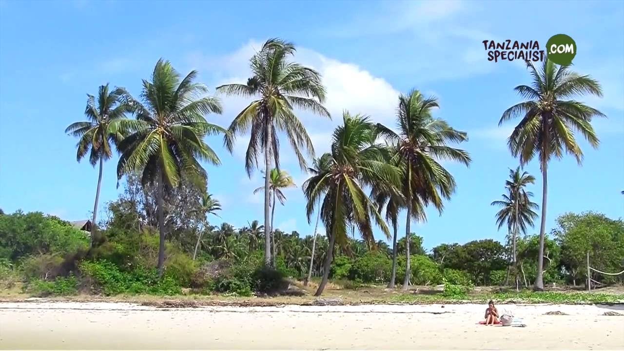 Pemba Island HD Tanzania Specialist