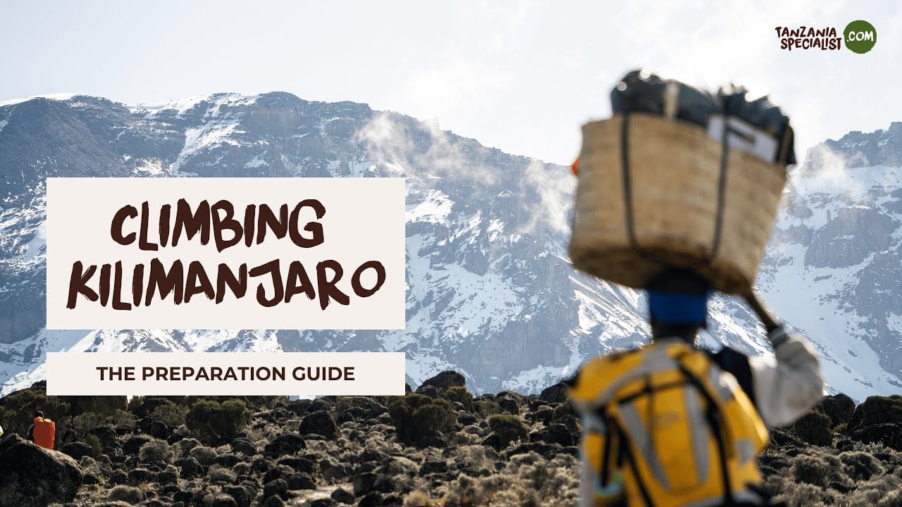 Kilimanjaro preparation guide - Tanzania Specialist