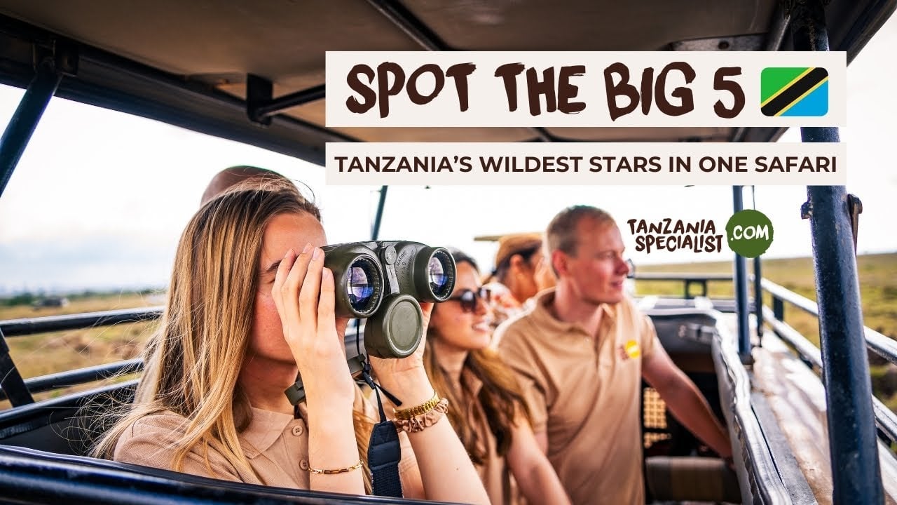 Big 5 Safari in Tanzania with Tanzania Specialist