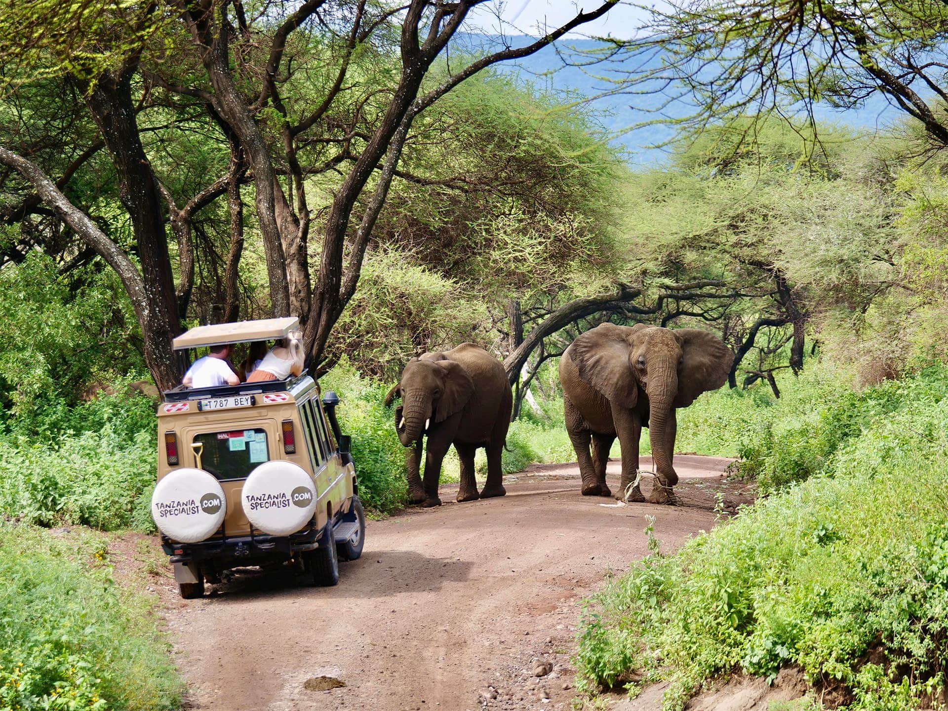 short-and-sweet-tanzania-safari-three-parks-l-tanzania-specialist