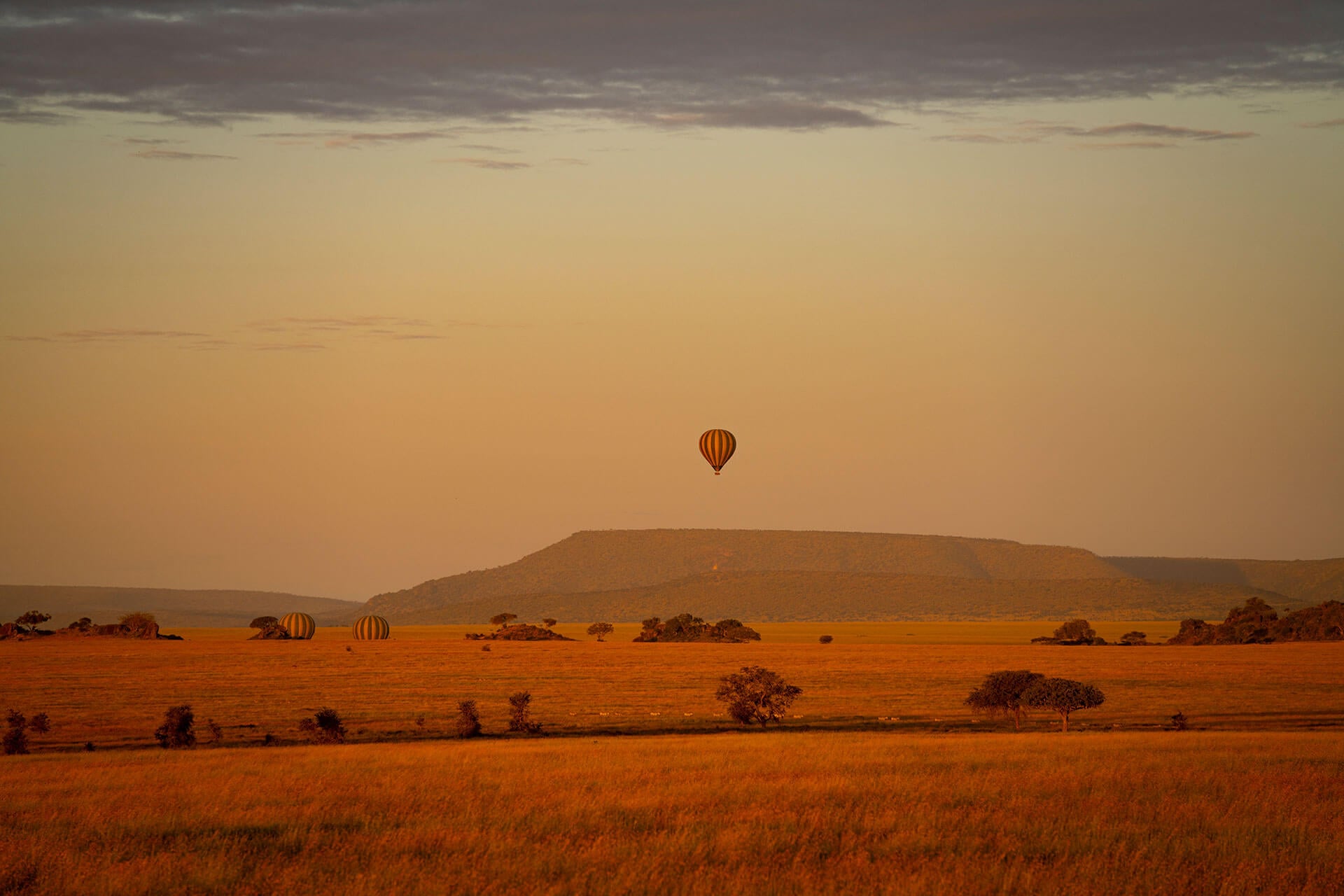 Activities Tanzania Specialist