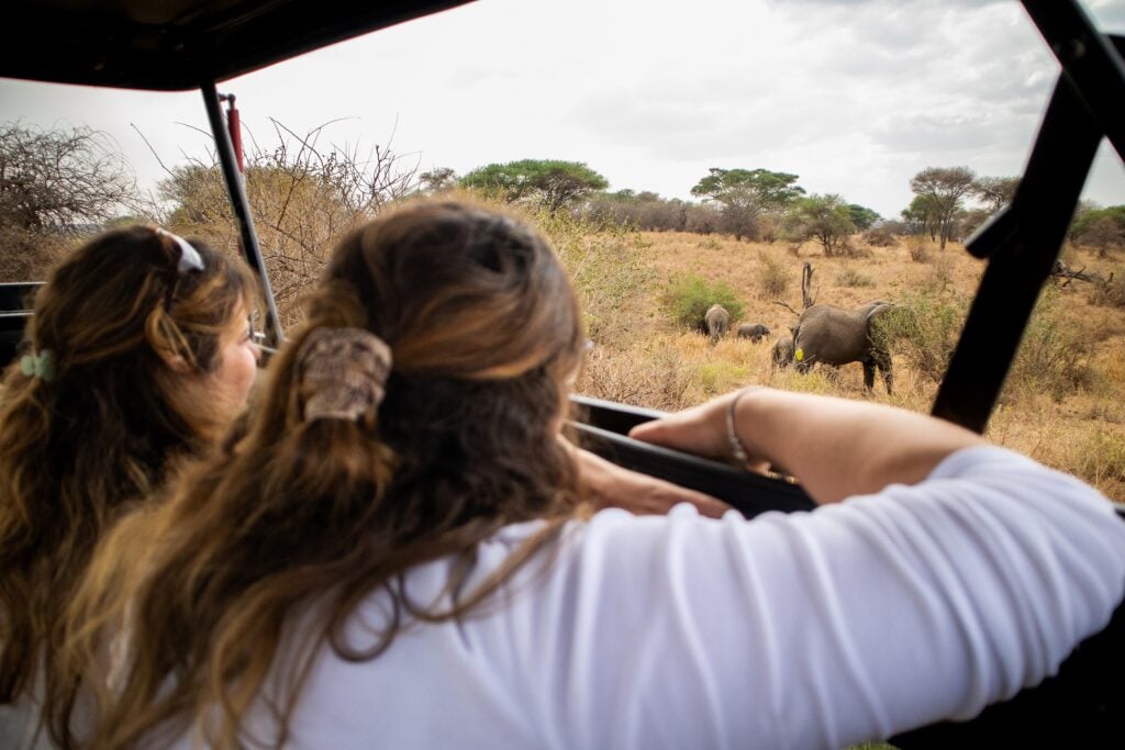 Elephants jeep Tarangire