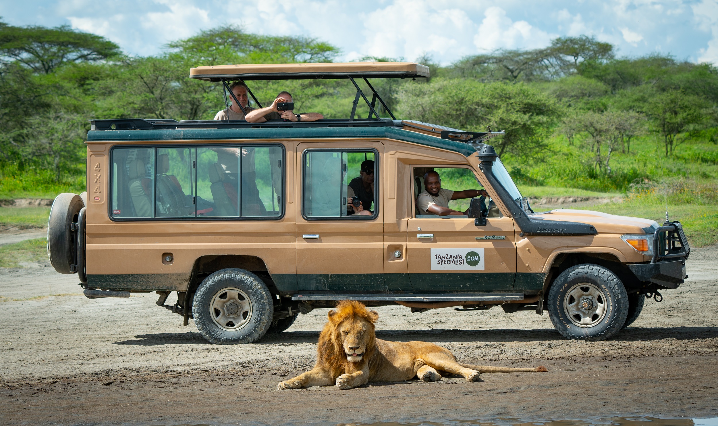 Jeep lion