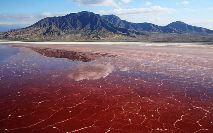 Lake Natron | Tanzania Specialist