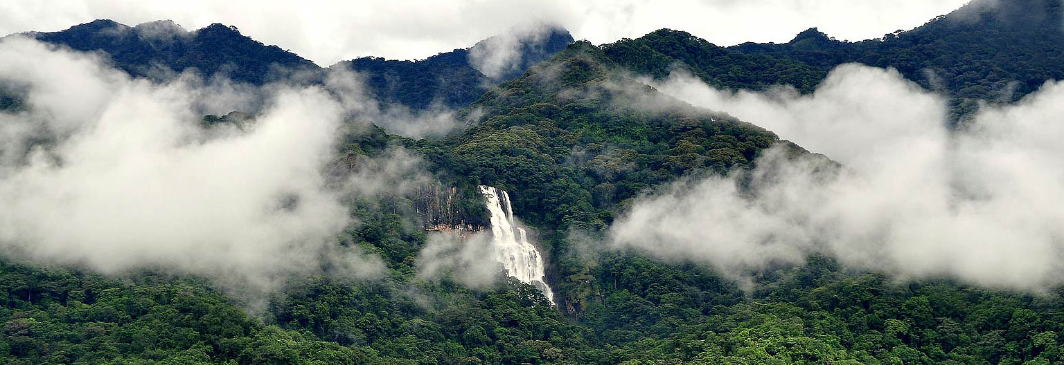 Udzungwa National Park