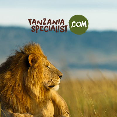 When to visit Tanzania - practical info l Tanzania Specialist