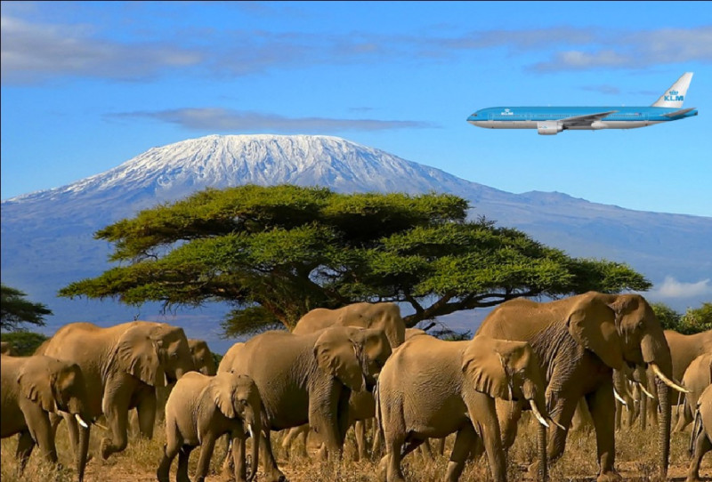 Arrival at Kilimanjaro International Airport