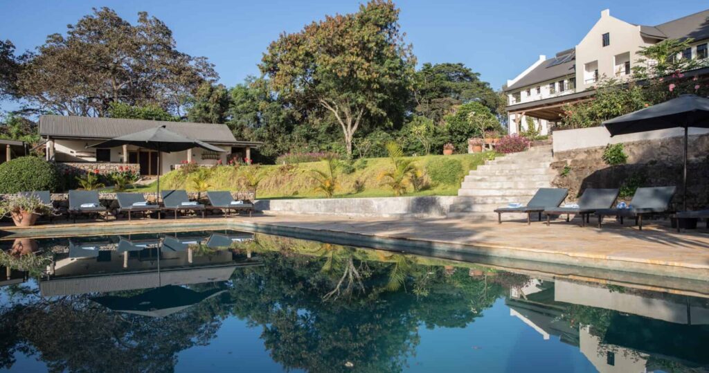 Swimming pool of Arusha Villa with sunbeds and parasols