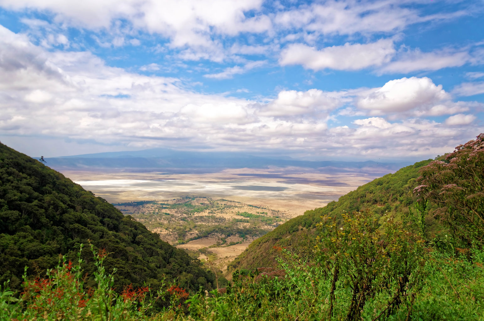 Ngorongoro Conservation Area (incl. Crater)