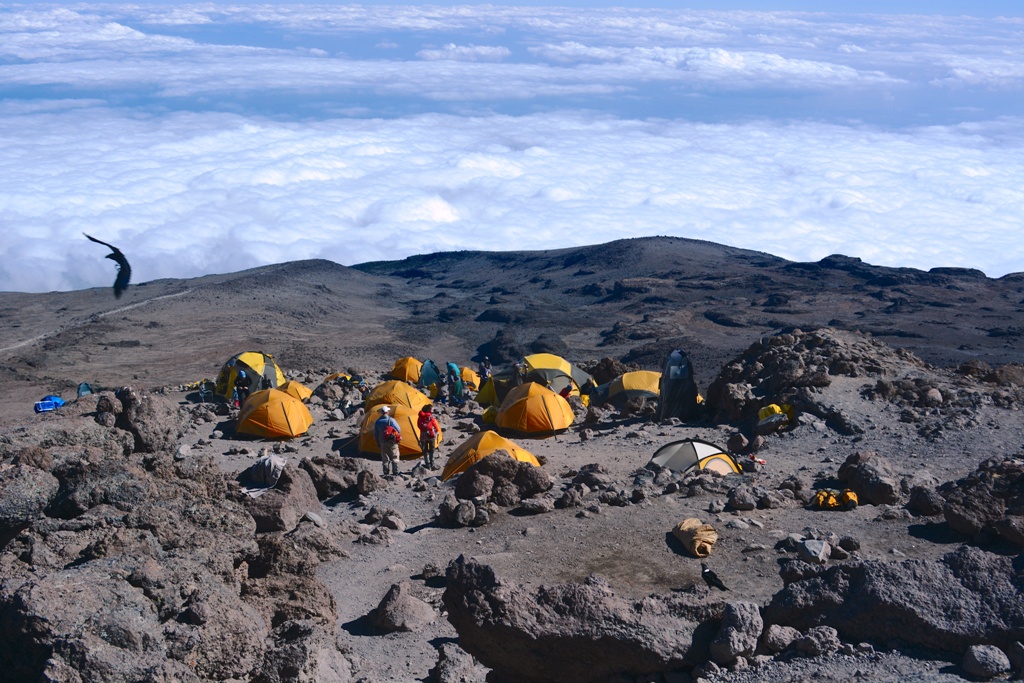 Tiendas amarillas en el suelo del Kilimanjaro, campamento de Barafu