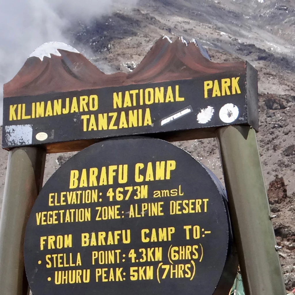 Machame route 7 days, day 5: Karanga Camp (4,035 m/ 13,238 ft) - Barafu Camp (4,640 m/ 15,223 ft)