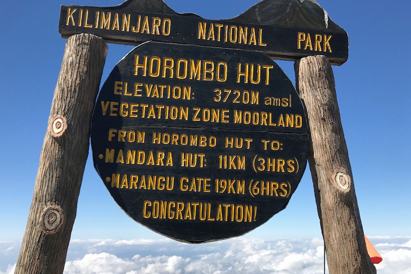 Marangu Route 6 days, day 2: Mandara Huts (2,700 m/ 8,858 ft) - Horombo Huts (3,720 m/ 12,204 ft)