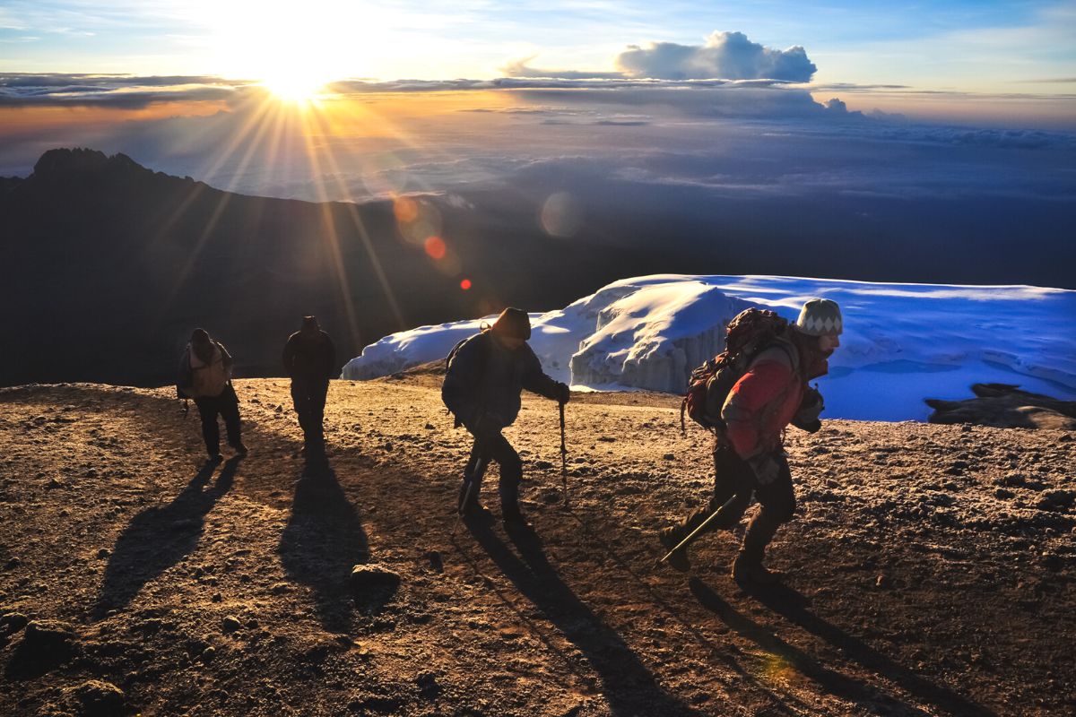 A group of hikers hiking up Mount Kilimanjaro at sunrise