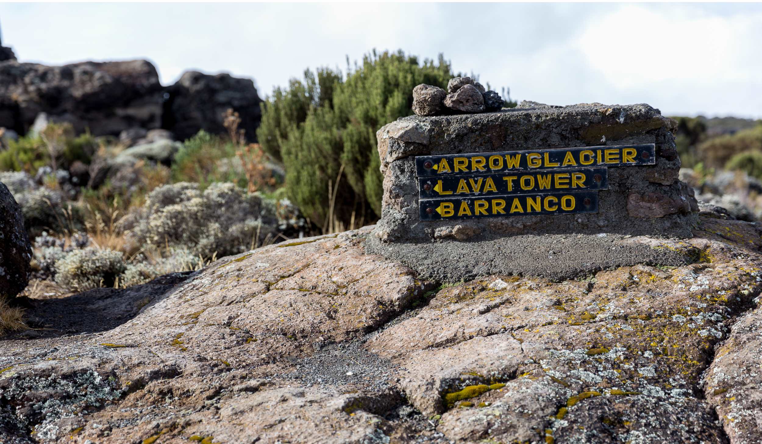 Machame route 7 days, day 3: Shira Camp (3,840 m/ 12,600 ft) - Lava Tower (4630 m/ 15,190 ft) - Barranco Camp (3,960m m/ 12,992 ft)