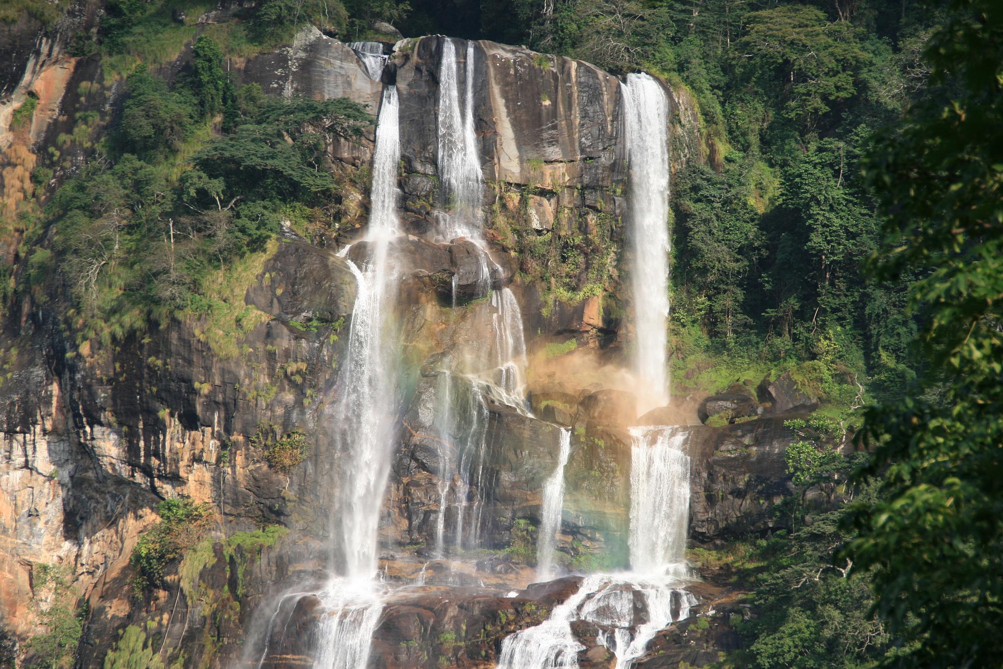 Hike in Udzungwa to the Sanje waterfalls