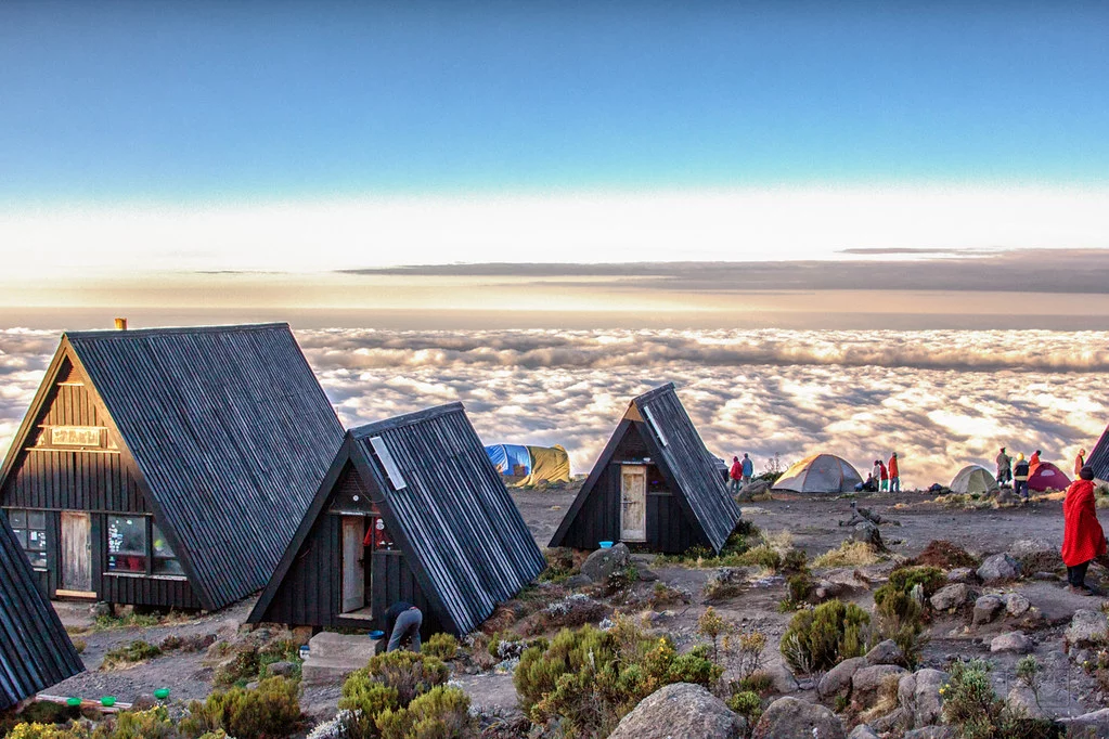 Marangu Route 5 days, day 2: Mandara Huts (2,700 m/ 8,858 ft) - Horombo Huts (3,720 m/ 12,204 ft)