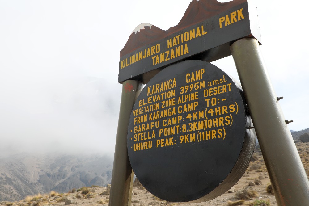 Machame route 7 days, day 4: Barranco Camp (3,960 m/ 12,992 ft) - Karanga Camp (4,035 m/ 13,238 ft)