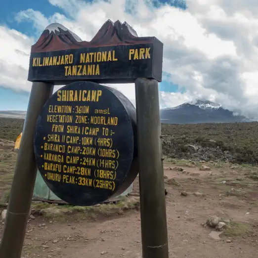 Machame route 6 days, day 2: Machame Camp (3,000m/ 9,875 ft) to Shira Camp (3,840m/ 12,600 ft)