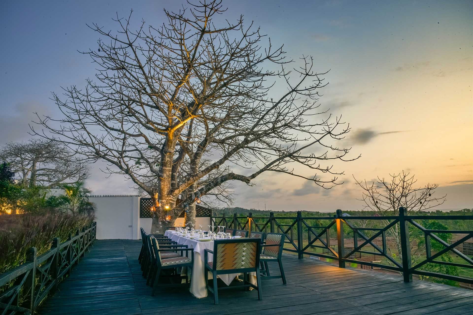タビビトノキ　13 Kidoti Villas Zanzibar | Tanzania Specialist