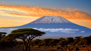 Mount Kilimanjaro, the tallest mountain in Africa