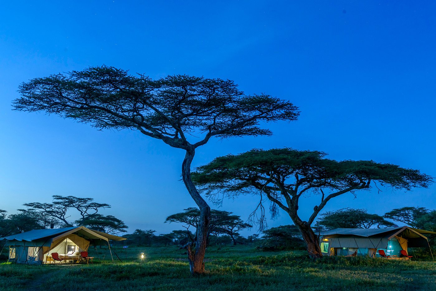 Ndutu Wilderness Camp by Tanzania Wilderness Camps - Tanzania Specialist