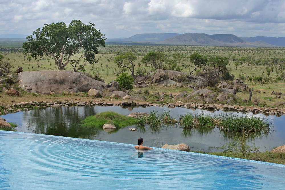 Serengeti four seasons safari lodge pool and scenery
