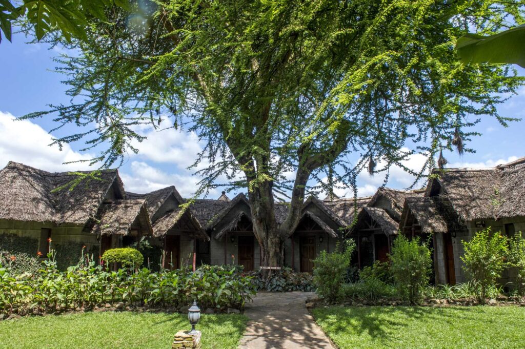 Paved way to several houses standing in a circle with thatched roofs