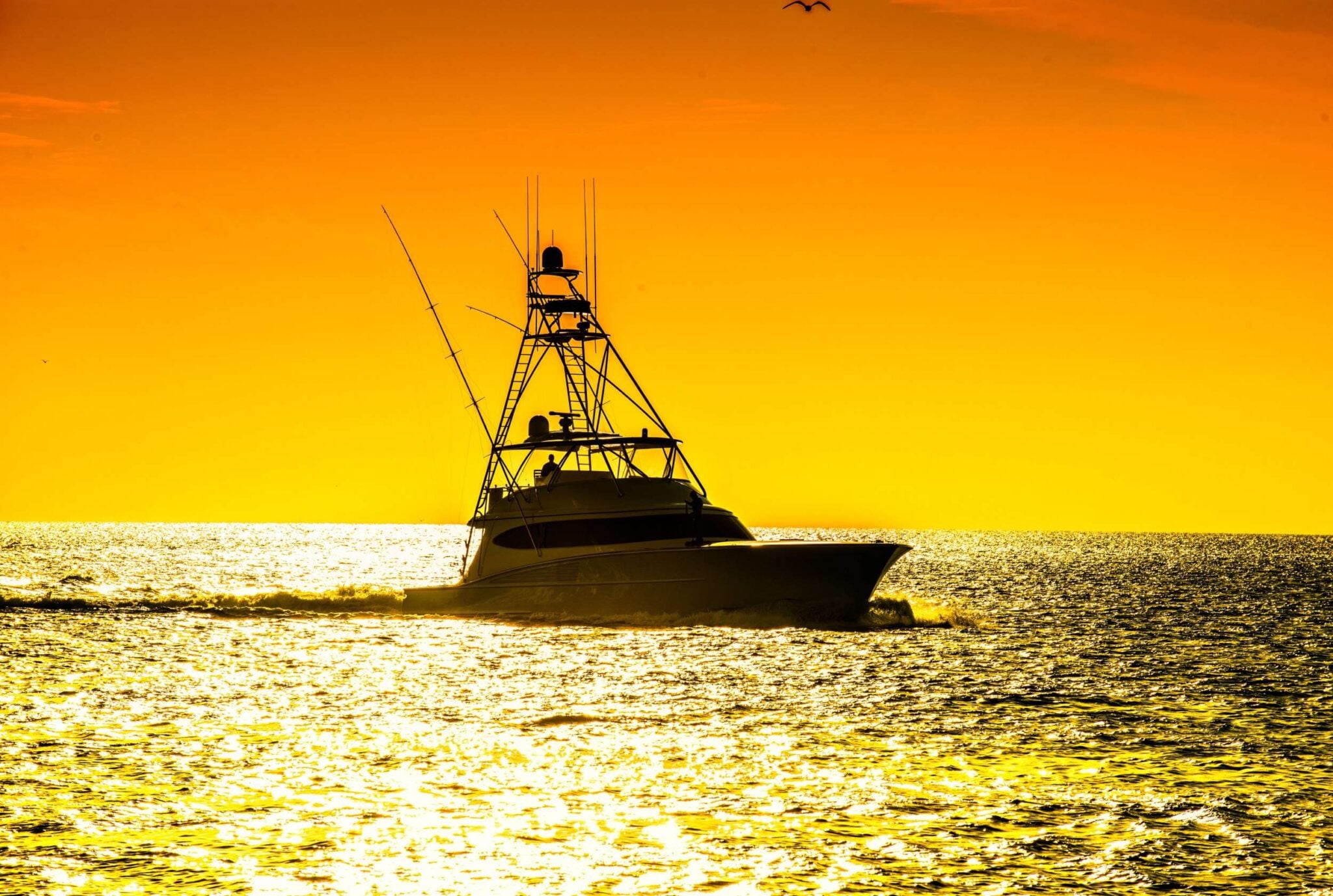 Activities Tanzania Specialist