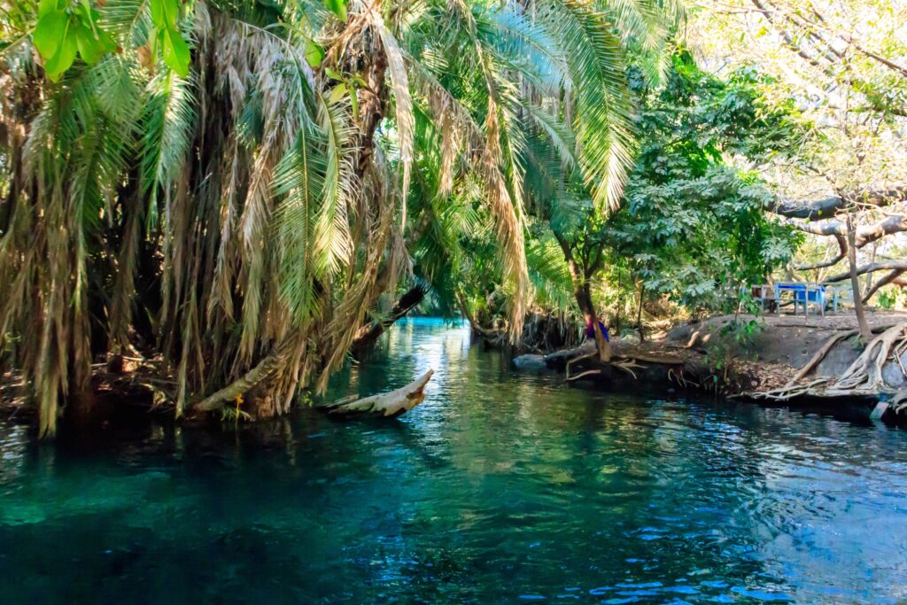 Kikuletwa Hot Springs in Tanzania Moshi