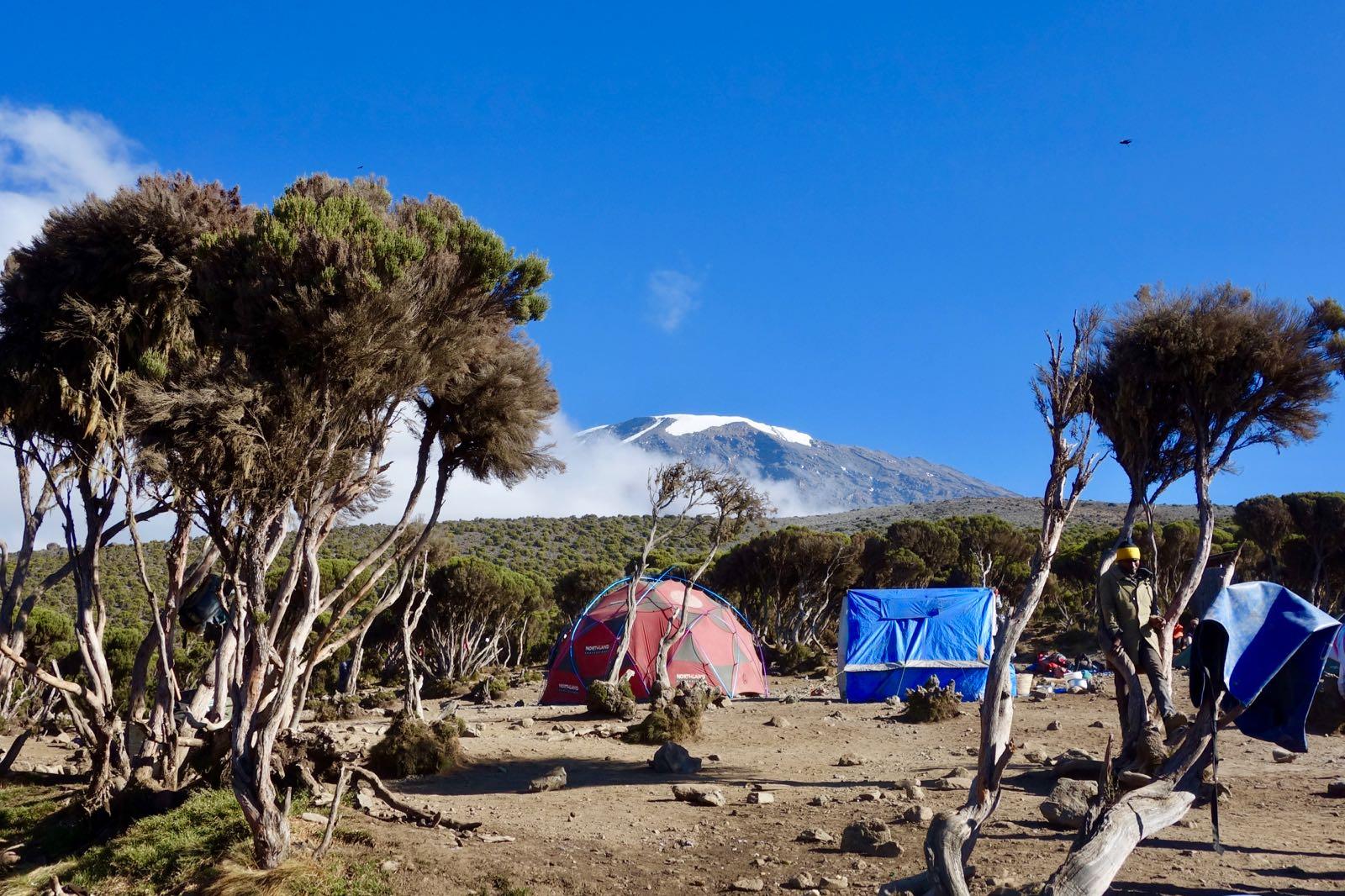 Northern Circuit (7/8) | School Huts Camp (4,710 m/15,452 ft) - Uhuru Peak (5,895 m/19,340 ft) - Millenium Camp (3,820 m/12,532 ft)