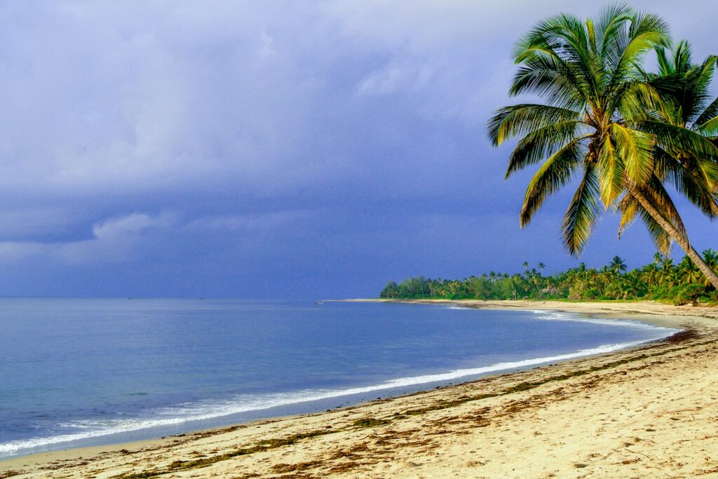 Plage de Pangani, Tanzanie, avec des palmiers