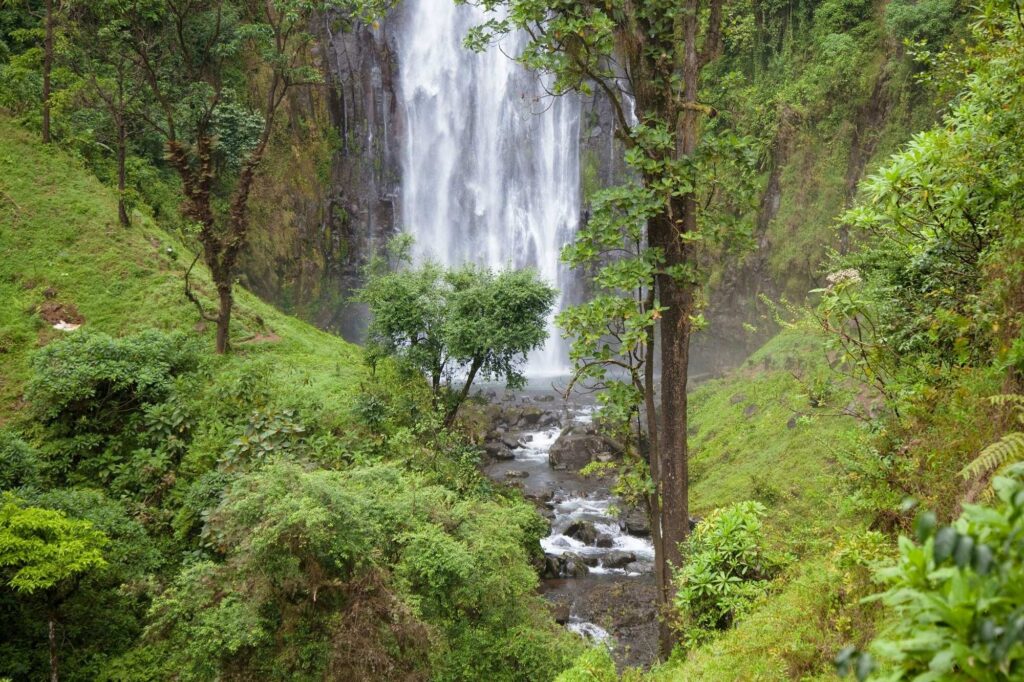 Waterfall surrounded by lush greenery in Tanzania