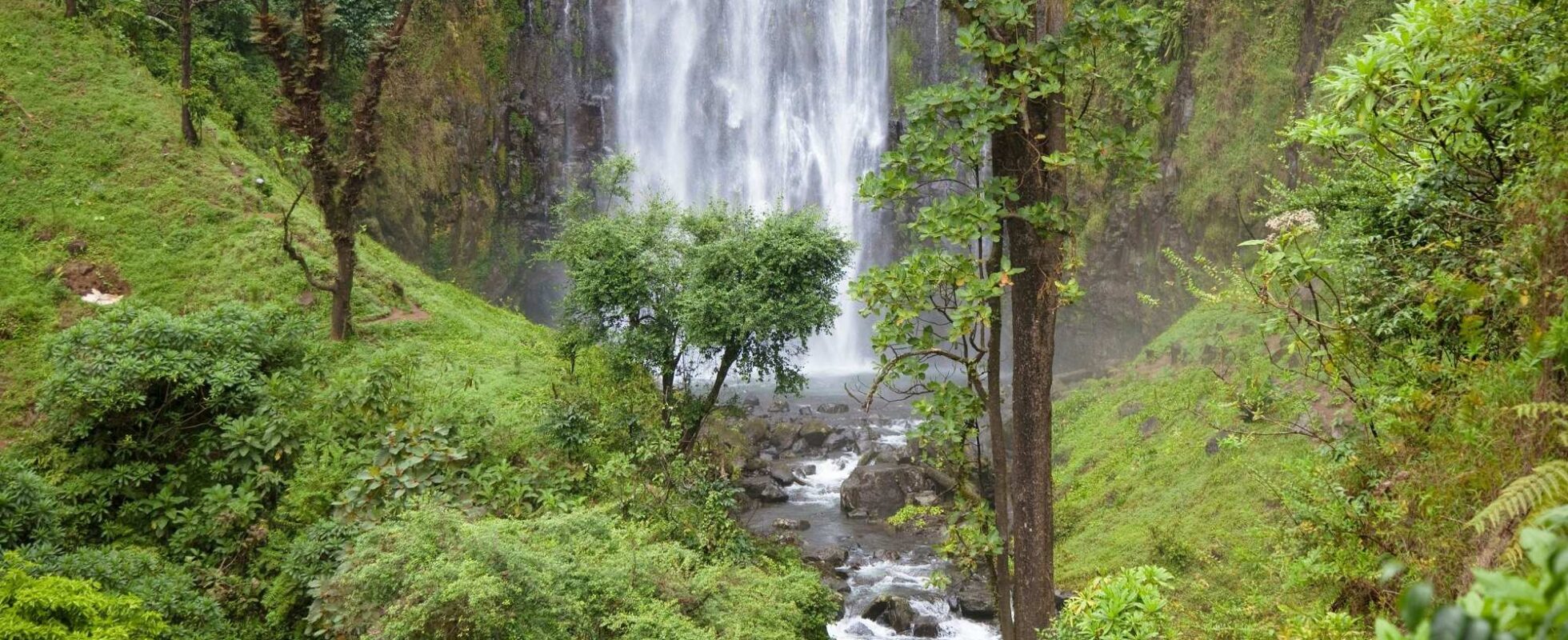 Waterfall surrounded by lush greenery in Tanzania