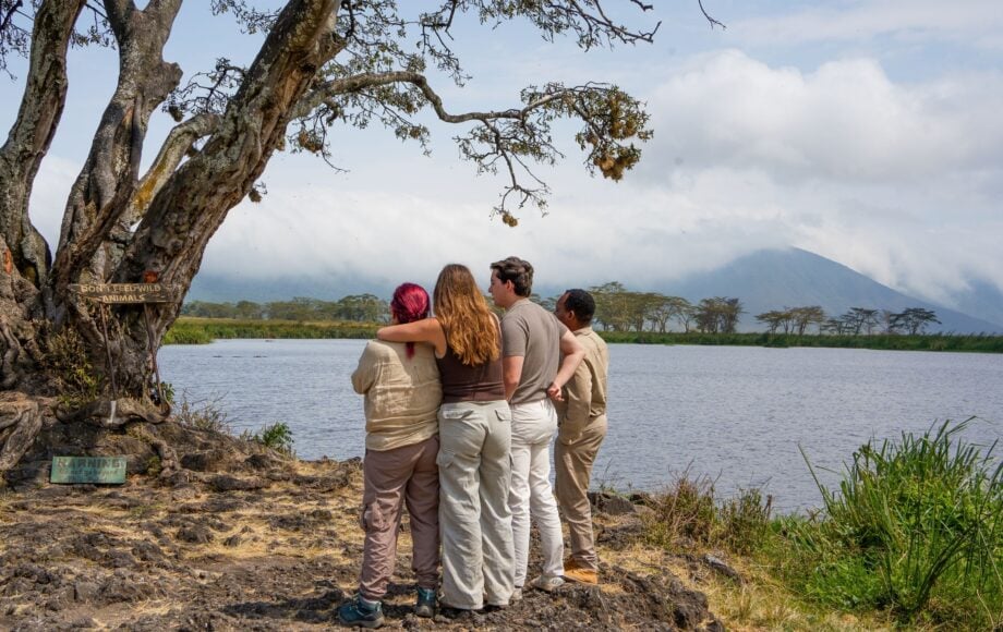 Four people looking at nature arm in arm