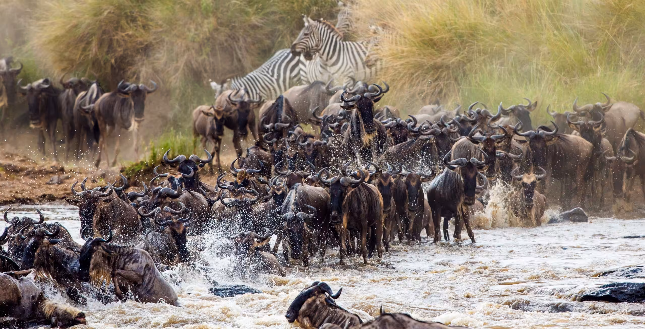 Northern Serengeti & the Great Migration (possibility to see the famous Mara River crossing)
