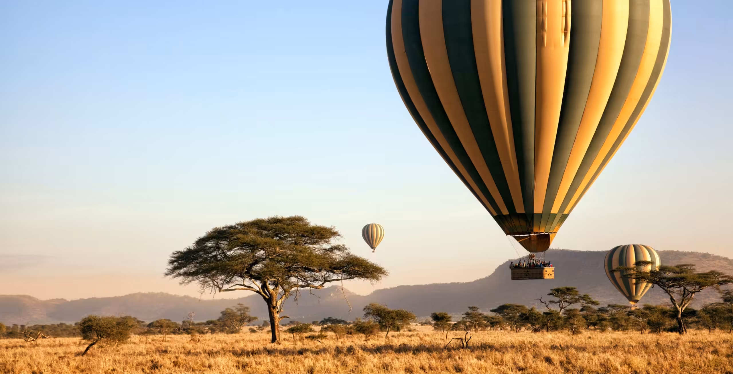 Serengeti National Park (central west/east)