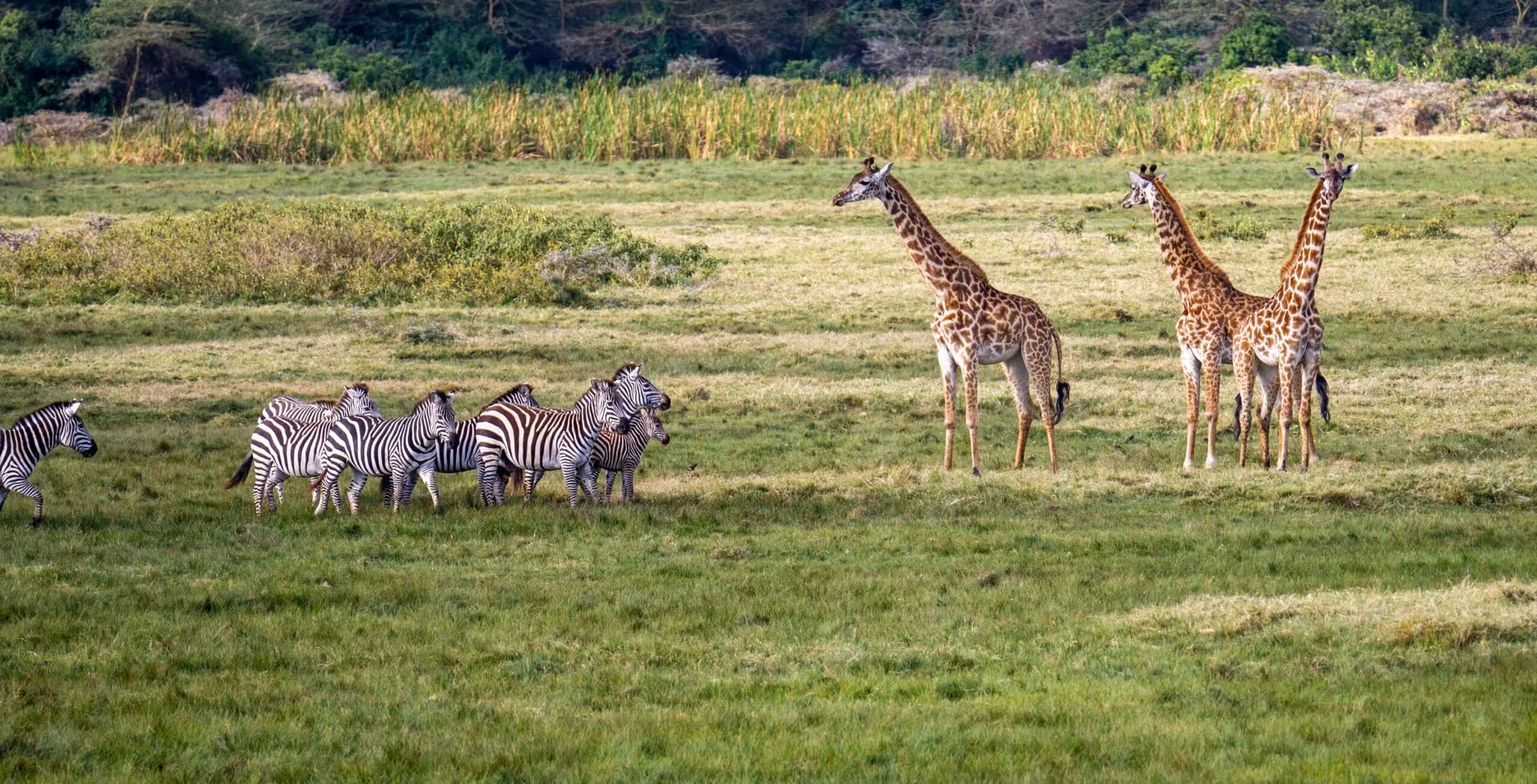 Arusha National Park