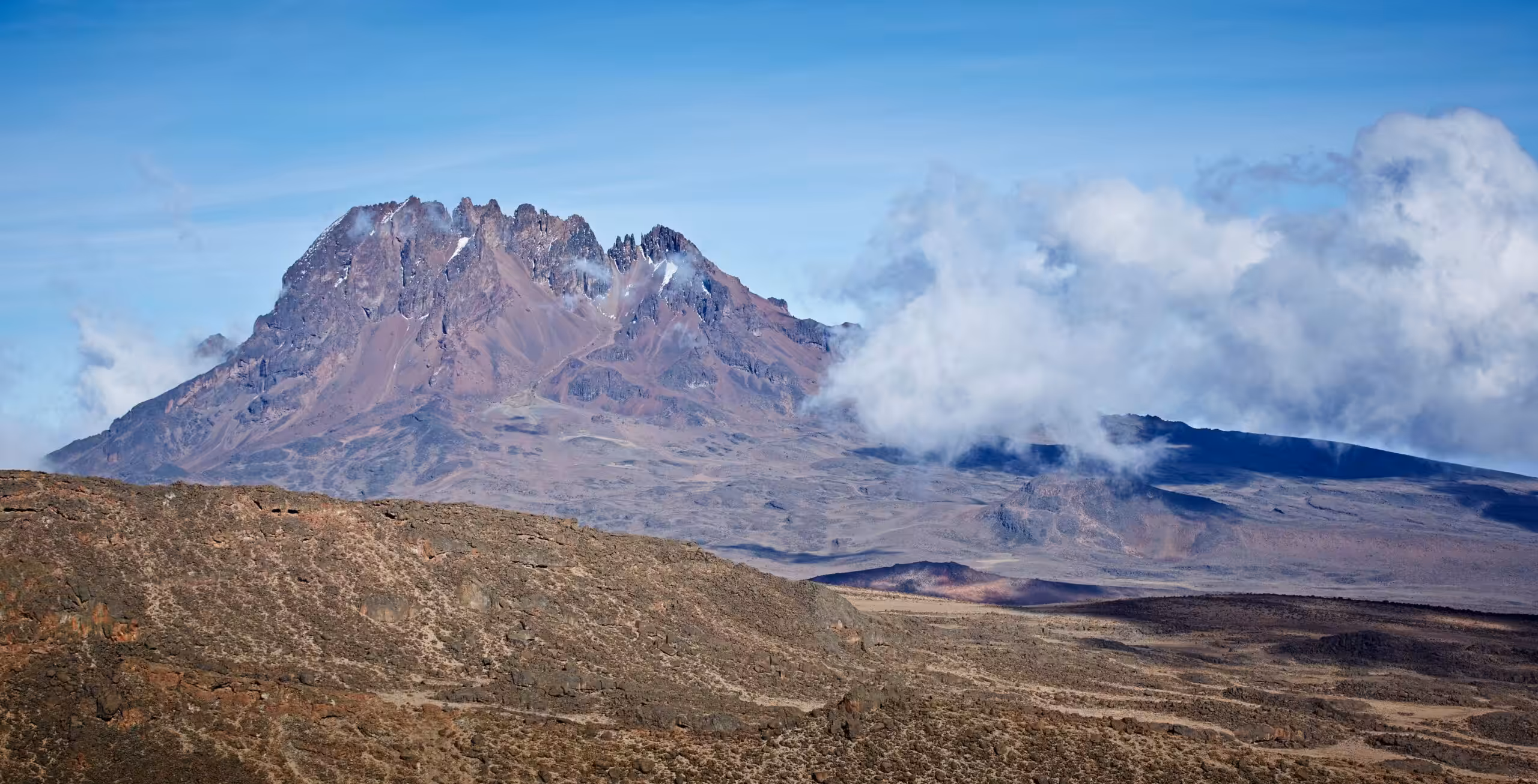 Machame route (4/6) | Barranco Camp (3,950 m/12,959 ft) - Barafu Camp (4,645 m/15,239 ft)