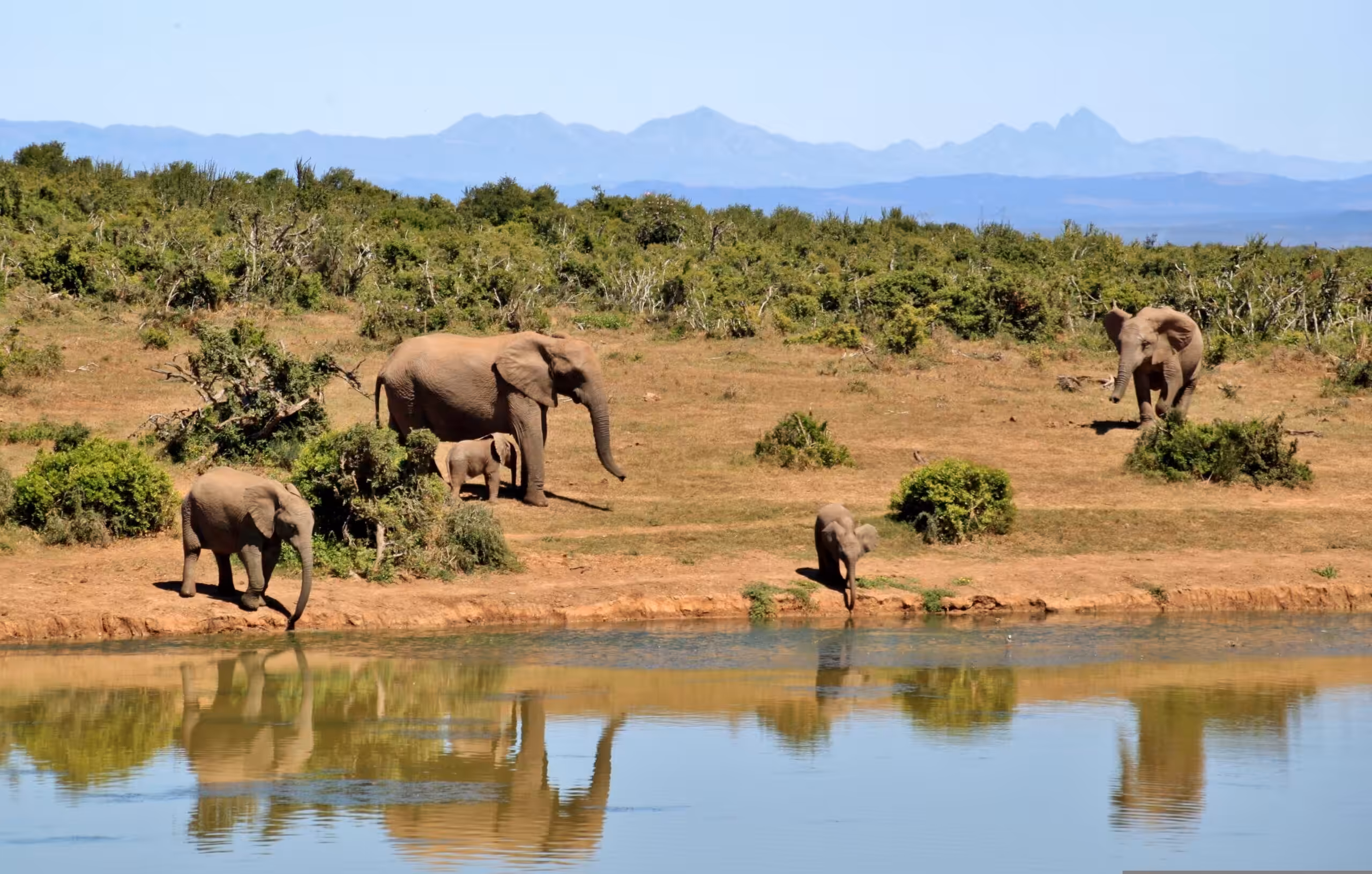 Tarangire National Park luxury style - by plane