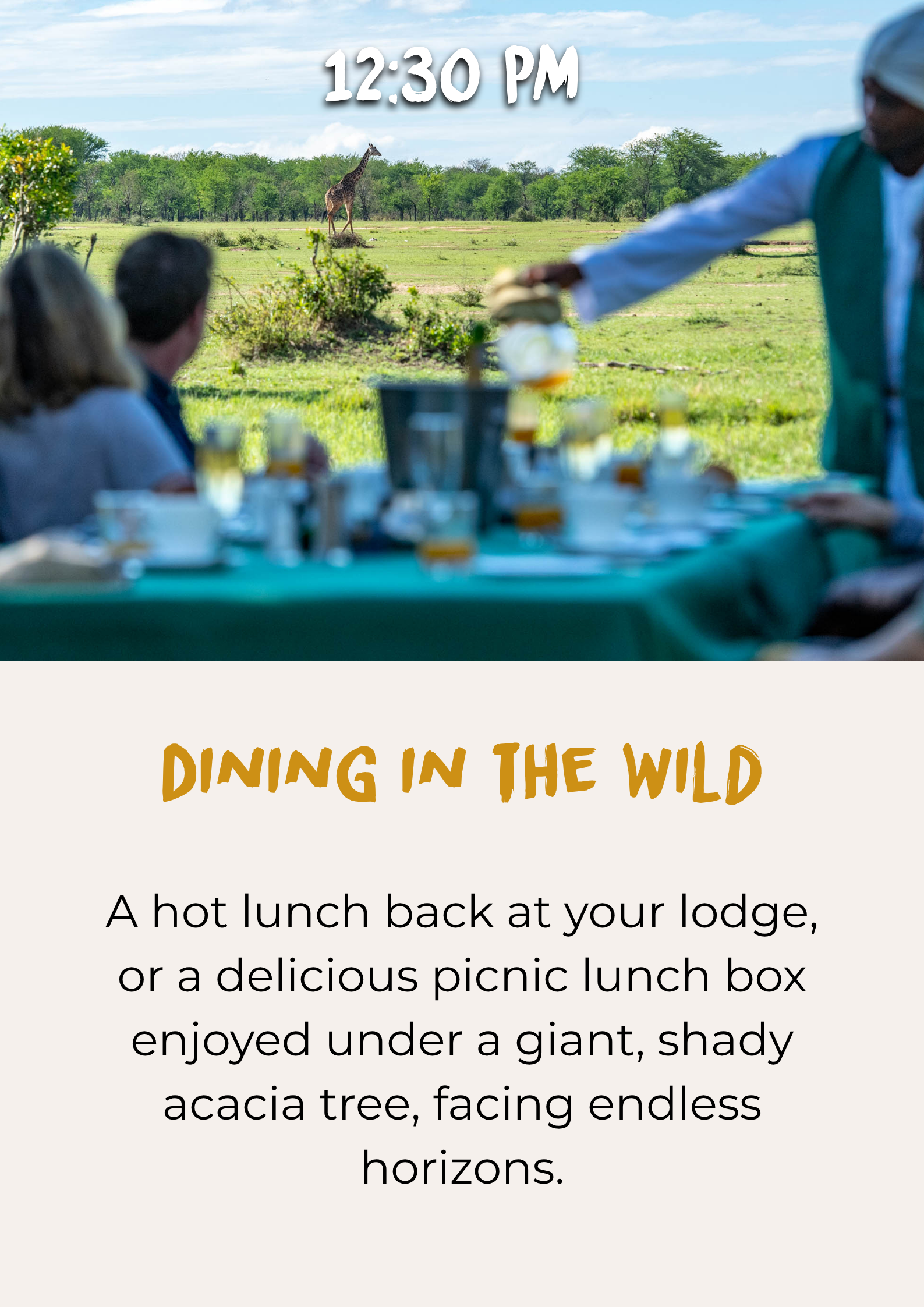 Lunch in the wild during a Tanzania safari