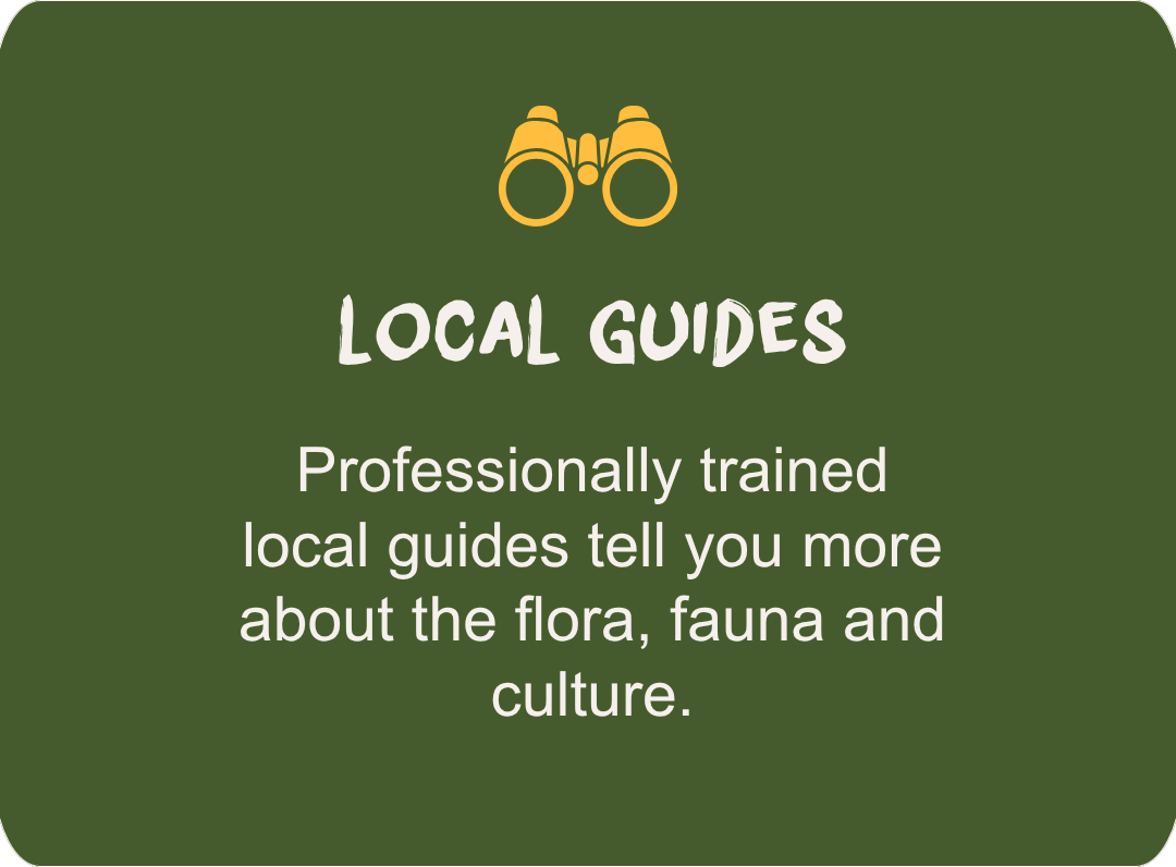 Local guides