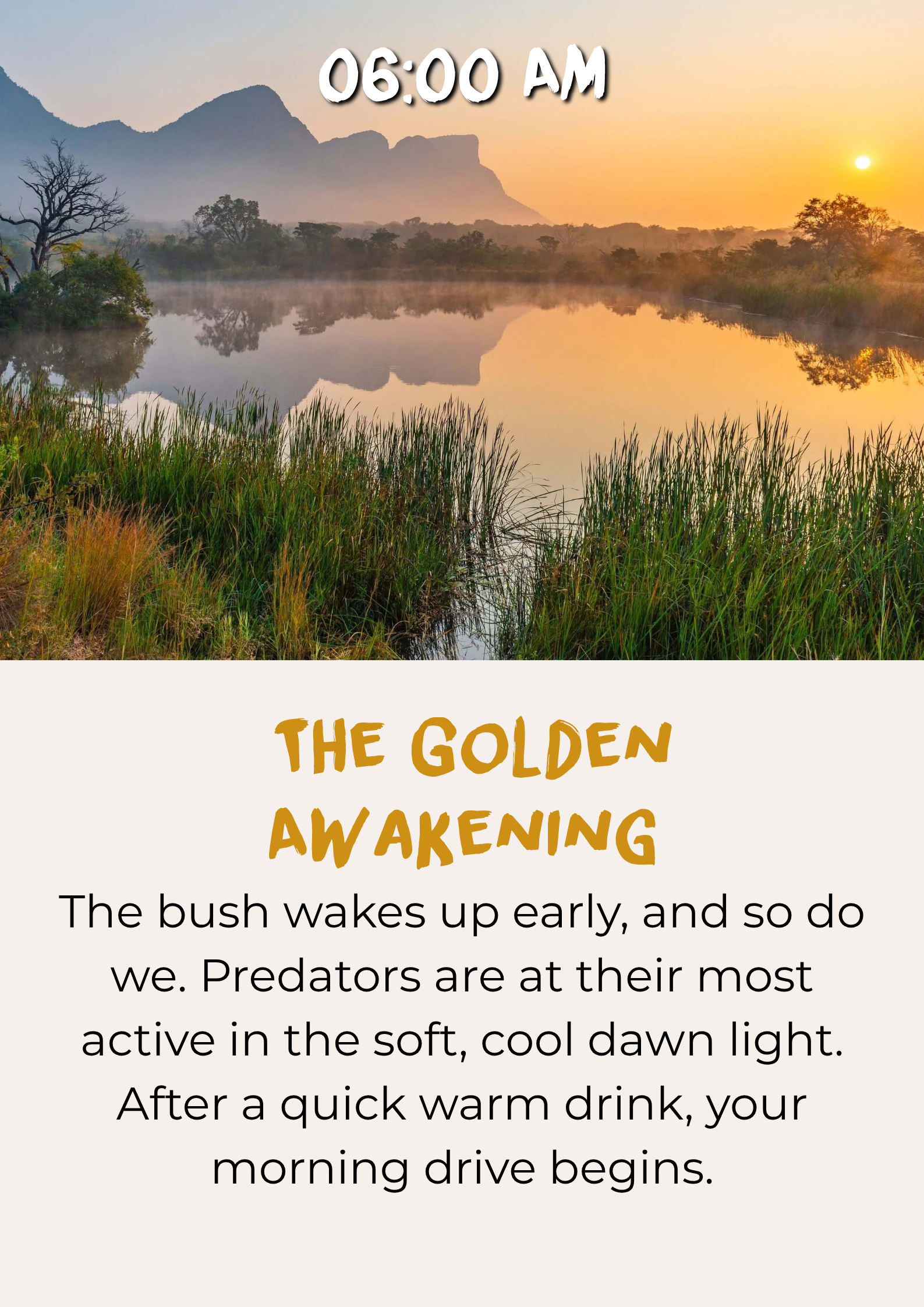 Early morning safari game drive during the golden awakening