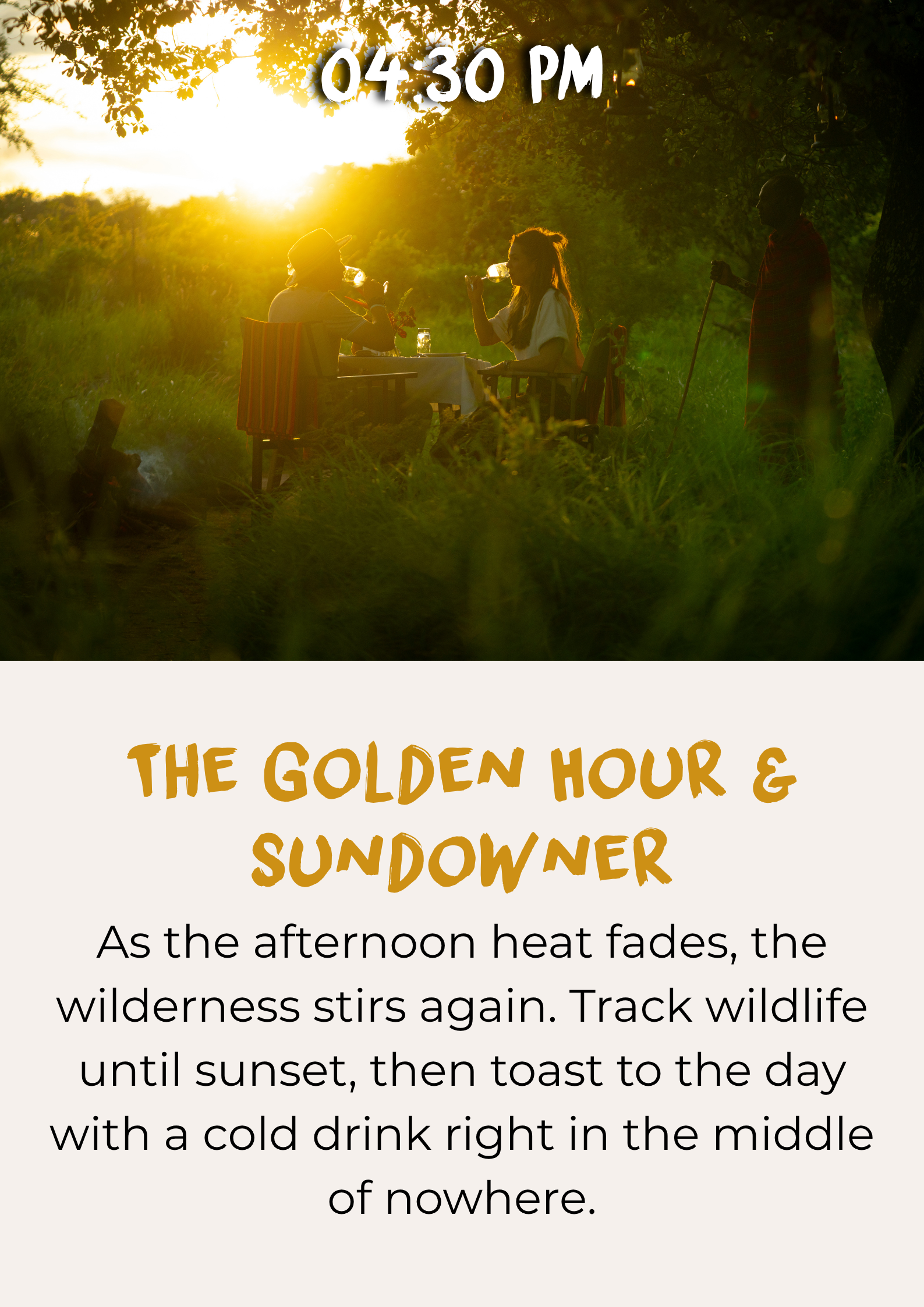 Golden-hour safari game drive followed by a sundowner