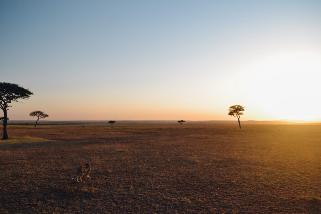 Serengeti Tanzania Robbin Meulemans interview