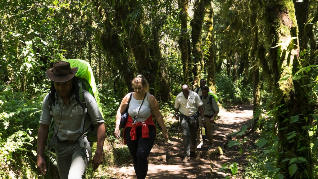 trekking kilimanjaro with Tanzania Specialist