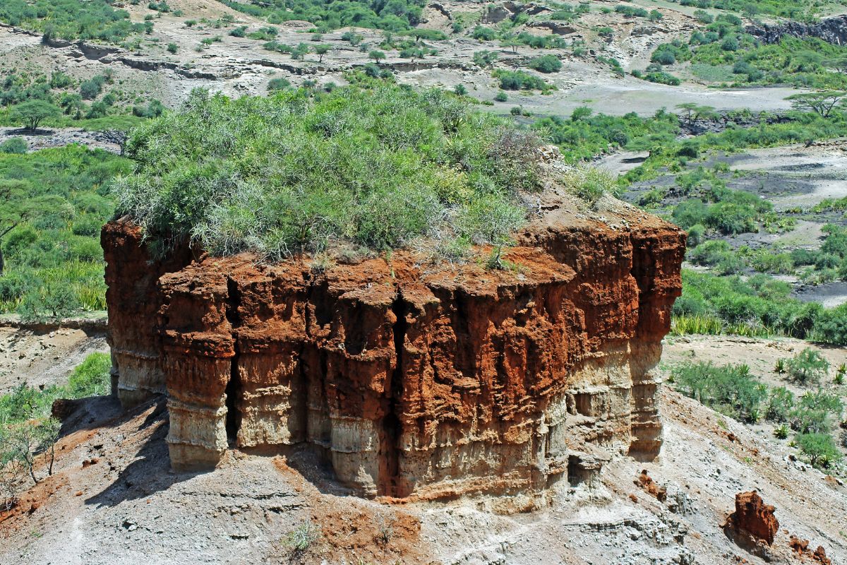 Lake Olduvai Has Human Fossils From Millions Of Years Ago