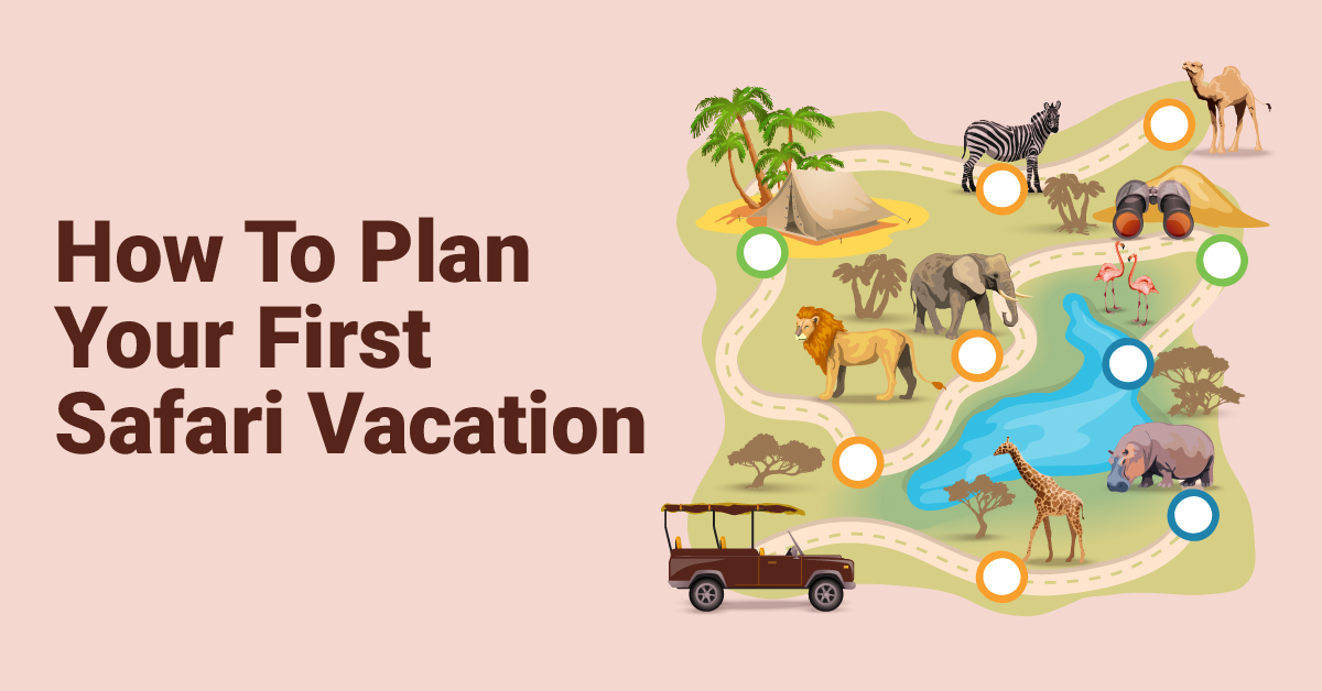 How to plan your first Safari vacation