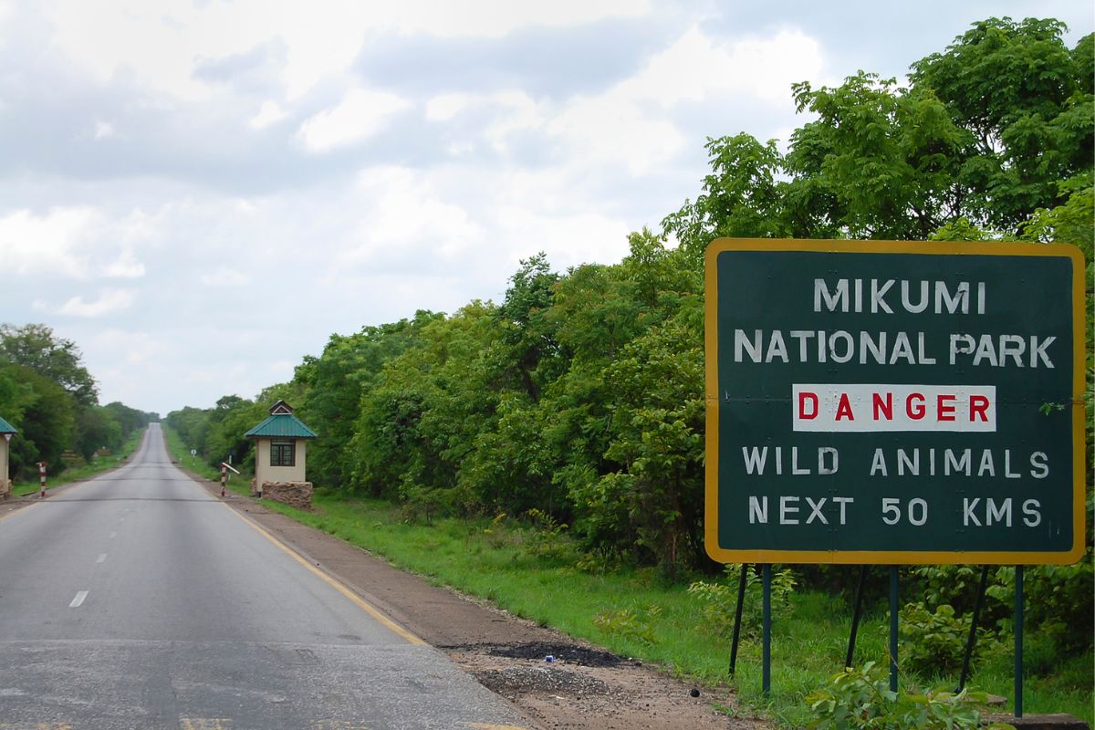 Mikumi National Park